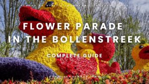 Flower Parade in the Bollenstreek - deBollenstreek