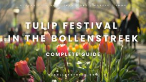 Tulip Festival in the Bollenstreek - deBollenstreek