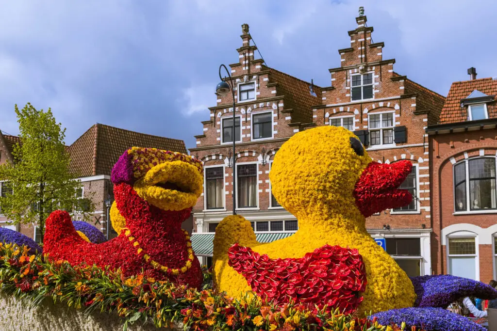 A stunning flower sculpture showcasing two ducks surrounded by vibrant flowers, embodying unity and vitality during the Flower Parade in the Bollenstreek while it passing through Haarlem in the Netherlands.