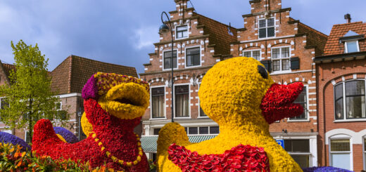 A stunning flower sculpture showcasing two ducks surrounded by vibrant flowers, embodying unity and vitality during the Flower Parade in the Bollenstreek while it passing through Haarlem in the Netherlands.