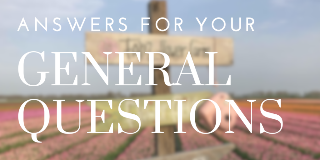 General Questions - de Bollenstreek