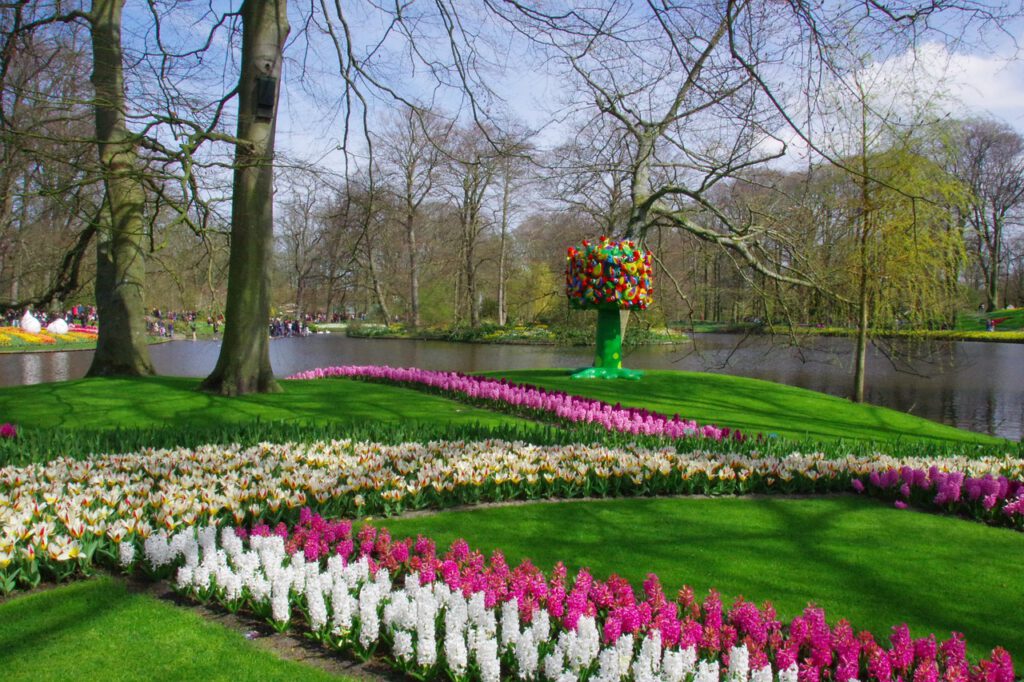 Keukenhof's floral spectacle - de Bollenstreek