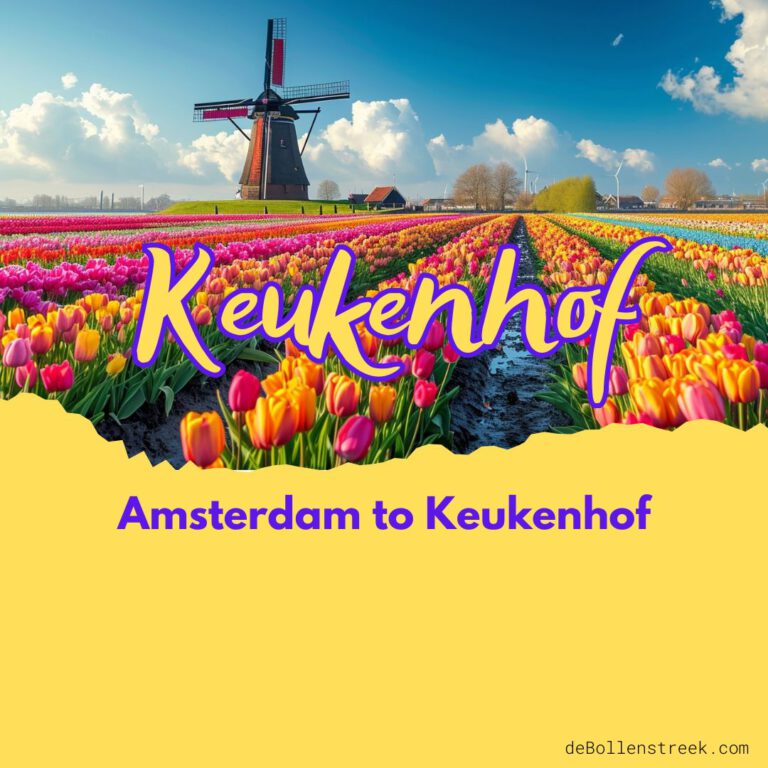 Amsterdam to Keukenhof Day Trip - deBollenstreek-2