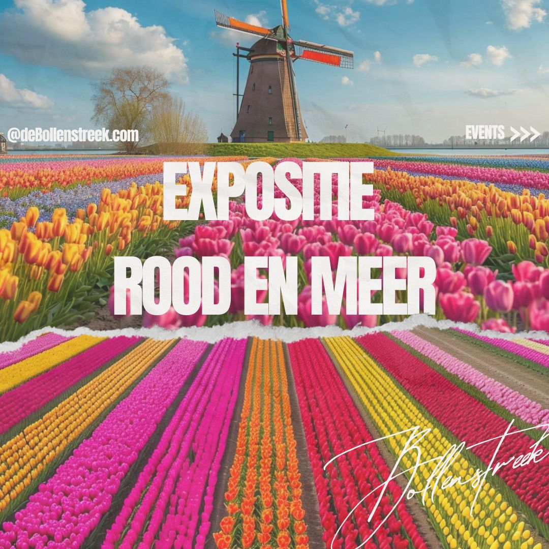 Expositie Rood en Meer - deBollenstreek