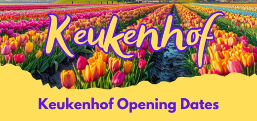 Keukenhof Opening Dates - de Bollenstreek