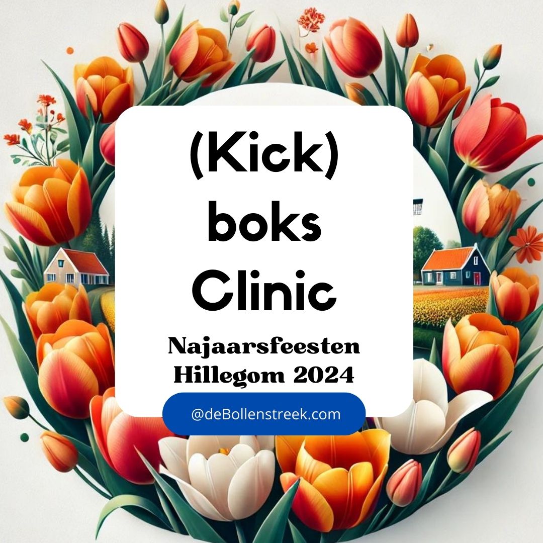 (Kick)boks Clinic Hillegom Najaarsfeesten - debollenstreek 2024