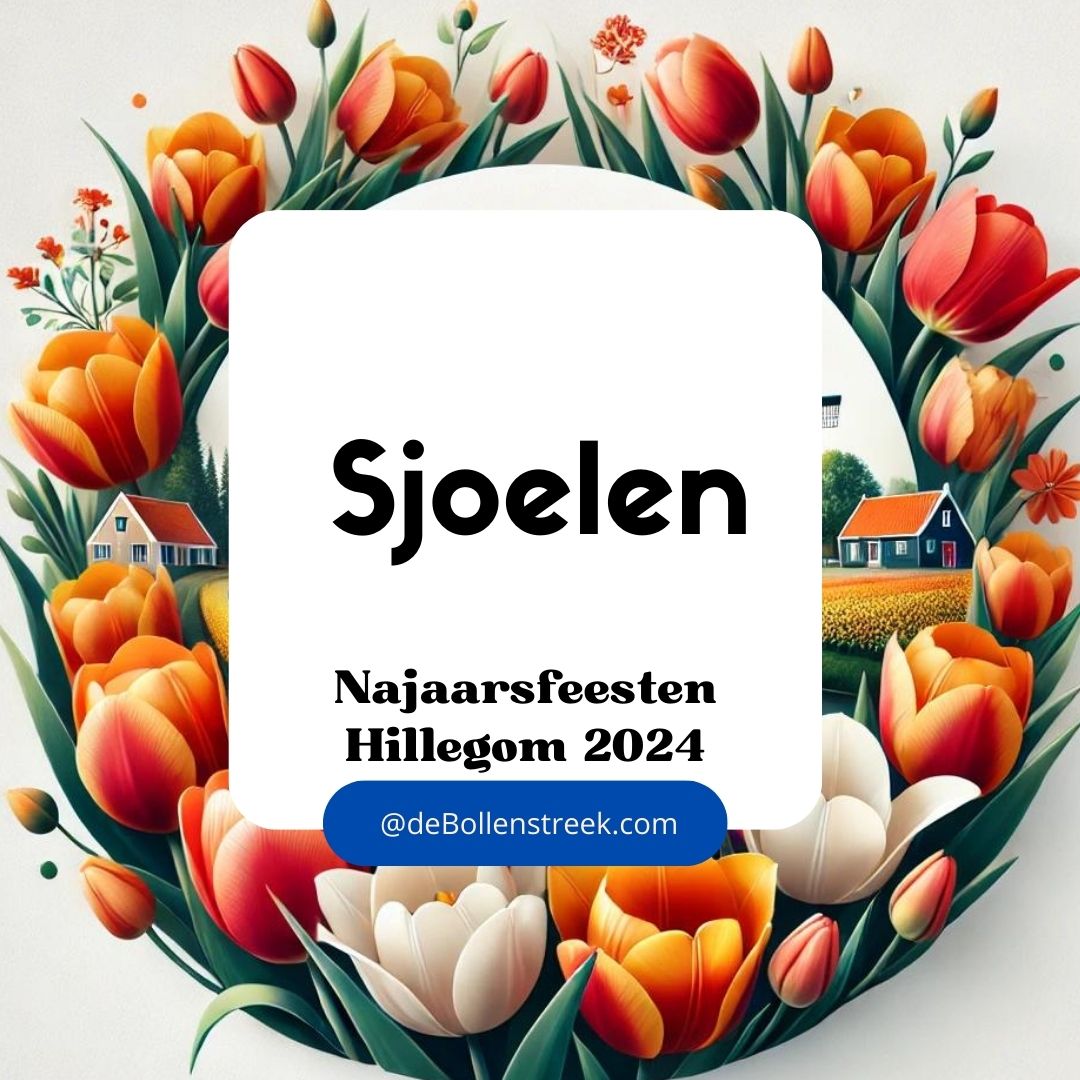 Sjoelen Hillegom Najaarsfeesten 2024 - deBollenstreek