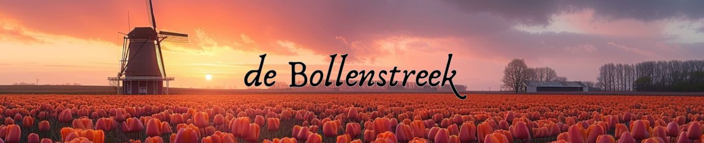 debollenstreek-banner-2024