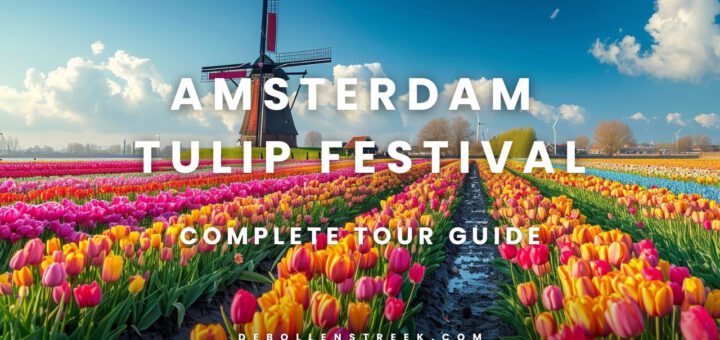 Amsterdam Tulip Festival - deBollenstreek.com