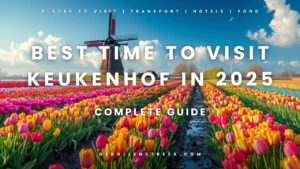 Best Time to Visit Keukenhof in 2025 - deBollenstreek