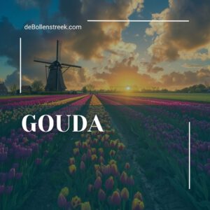 Gouda | deBollenstreek