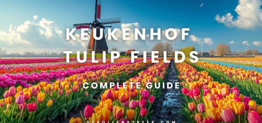 Keukenhof Tulip Fields - deBollenstreek.com