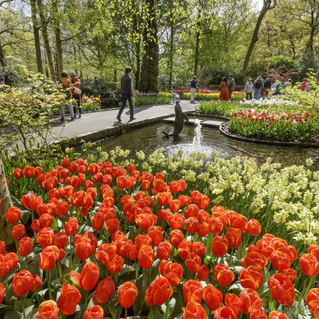 Keukenhof Gardens - deBollenstreek