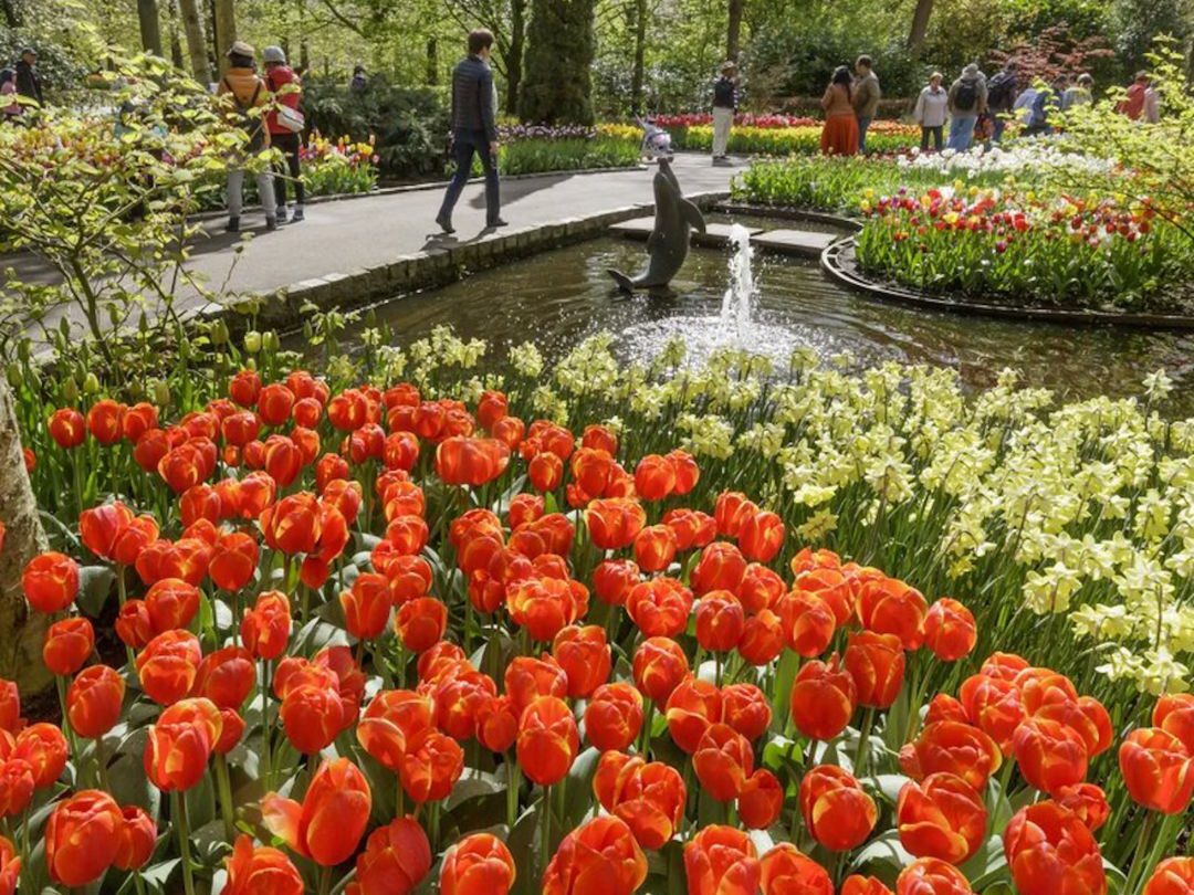 Keukenhof Gardens - deBollenstreek