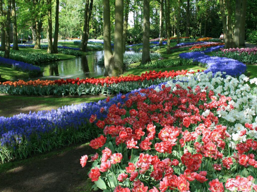 Best Time to Visit Keukenhof for a Quieter Visit - Keukenhof - deBollenstreek - Keukenhof - deBollenstreek