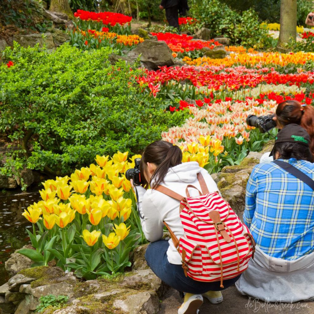 Best Time to Visit Keukenhof to avoid Crowds - Keukenhof - deBollenstreek-9