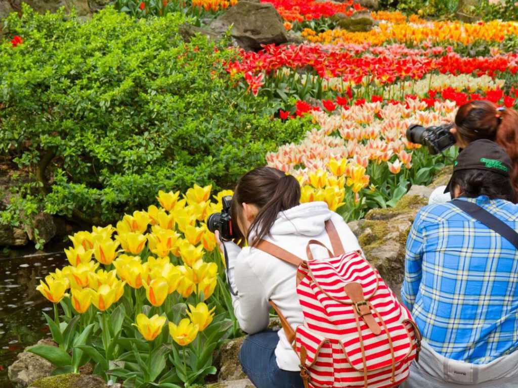 Best Time to Visit Keukenhof to avoid Crowds - Keukenhof - deBollenstreek