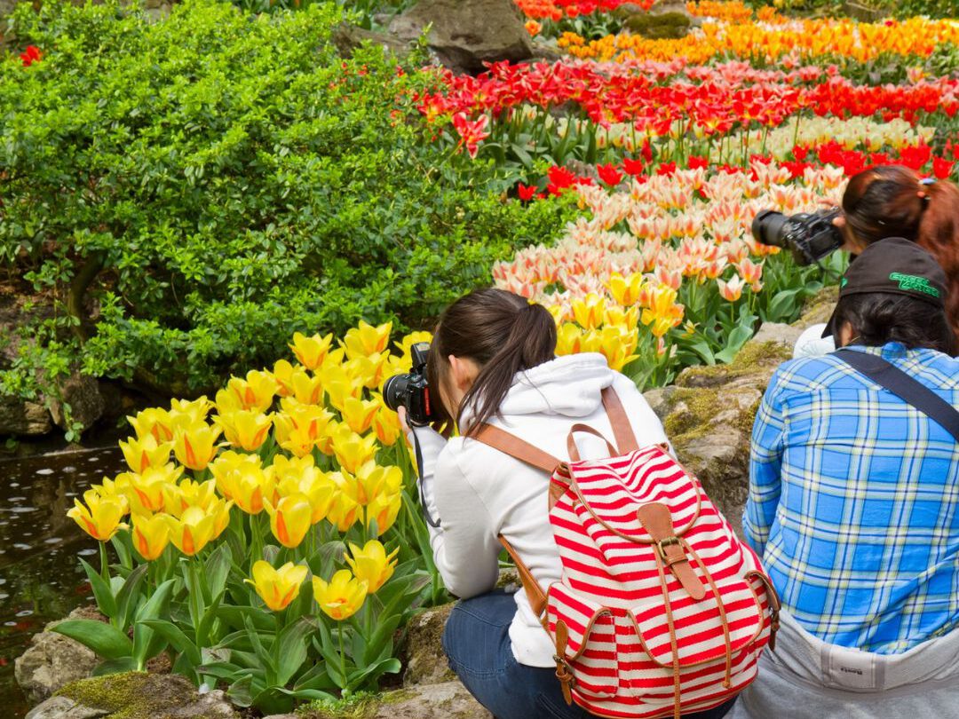 Best Time to Visit Keukenhof to avoid Crowds - Keukenhof - deBollenstreek-9