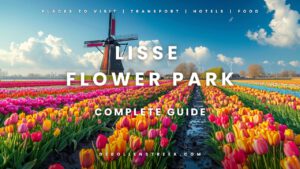 Lisse Flower Park - deBollenstreek