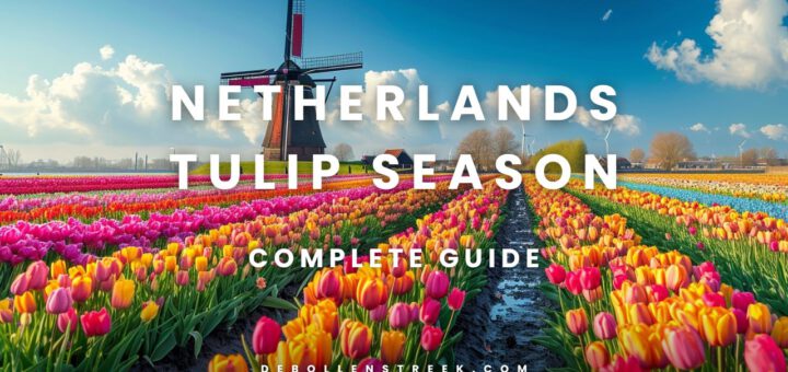 Netherlands Tulip Season - deBollenstreek.com