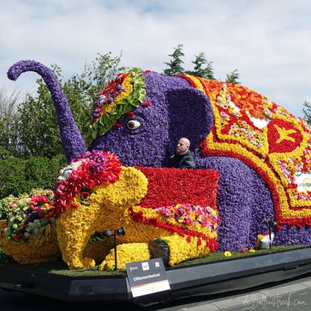 Bollenstreek Flower Parade - Bloemencorso - deBollenstreek