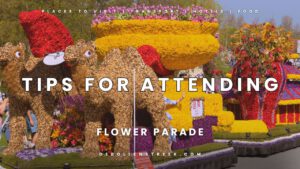 Tips for Attending the Flower Parade - deBollenstreek