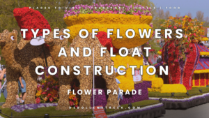 Types of Flowers and Float Construction Flower Parade 2025 - deBollenstreek