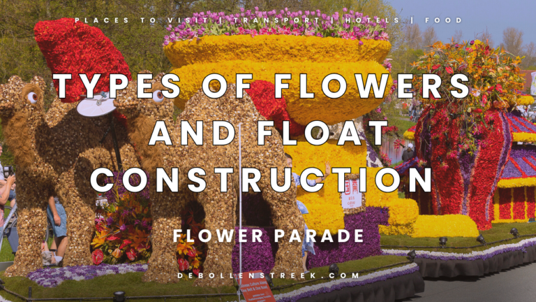 Types of Flowers and Float Construction Flower Parade 2025 - deBollenstreek