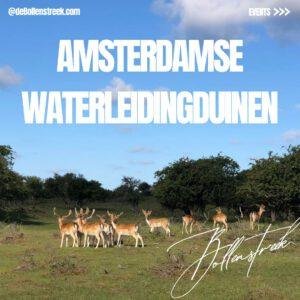 Amsterdamse Waterleidingduinen in 2025 – deBollenstreek Amsterdamse Waterleidingduinen in 2025 - deBollenstreek