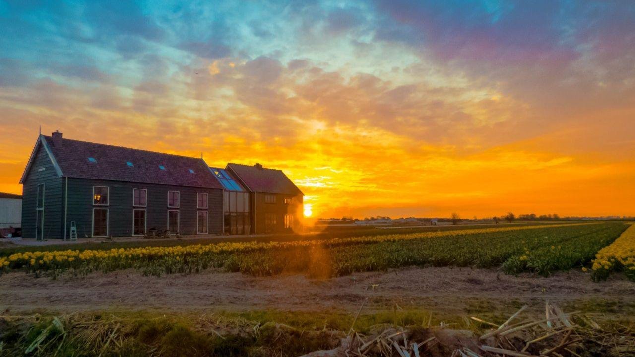De Groene Bollenschuur